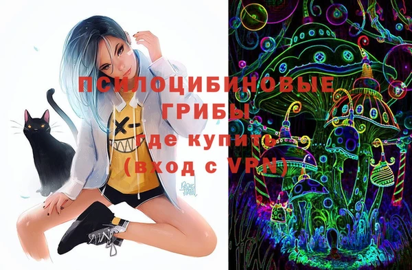 бошки Каменка