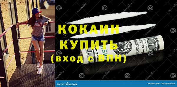 бошки Каменка