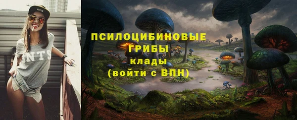 spice Каменск-Шахтинский