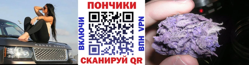 Марихуана семена  Купить  Ленинск-Кузнецкий 